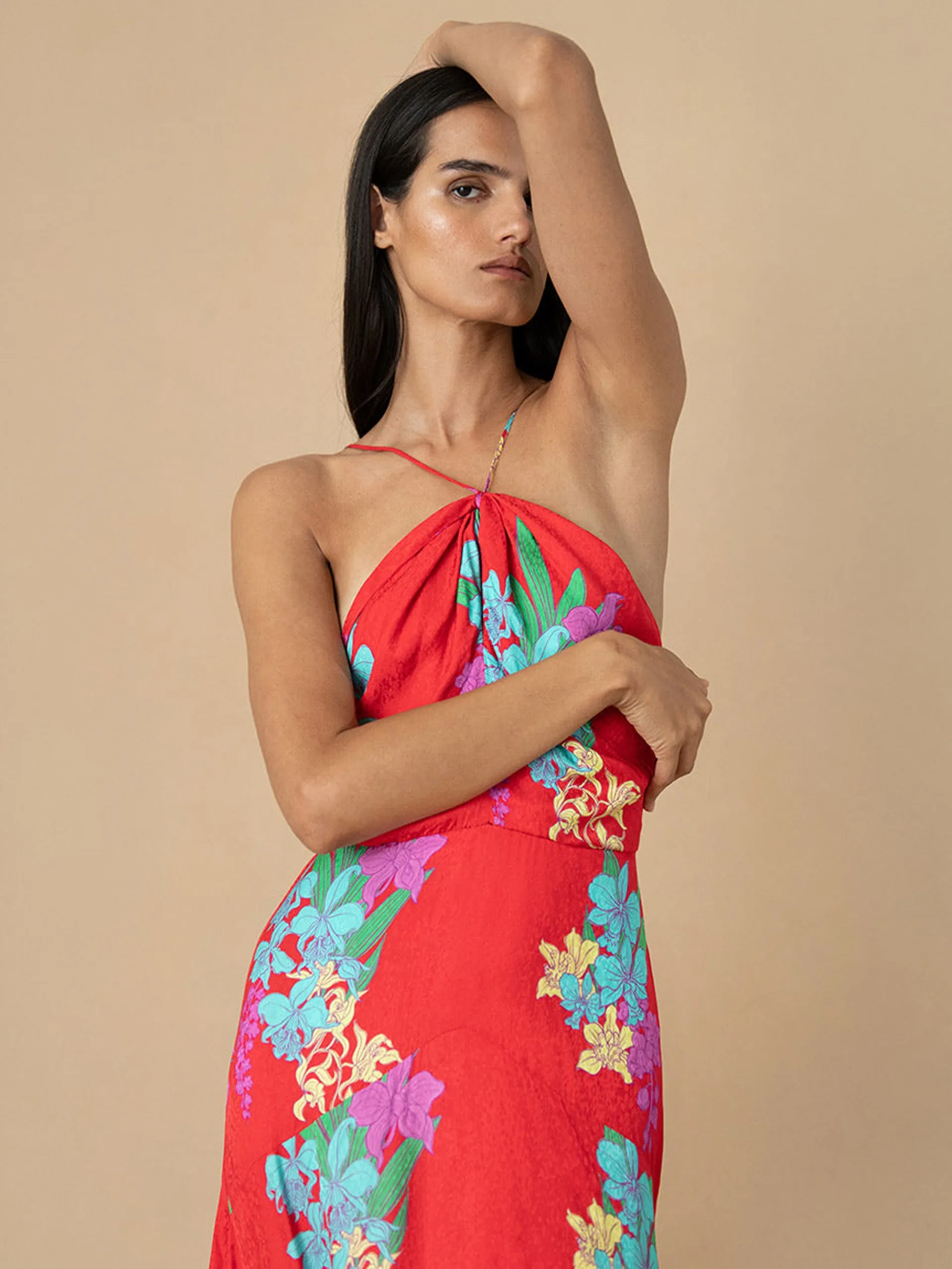 Alegria dress