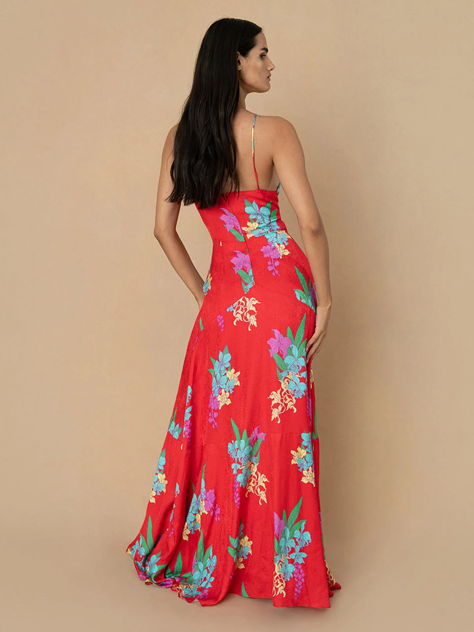 Alegria dress