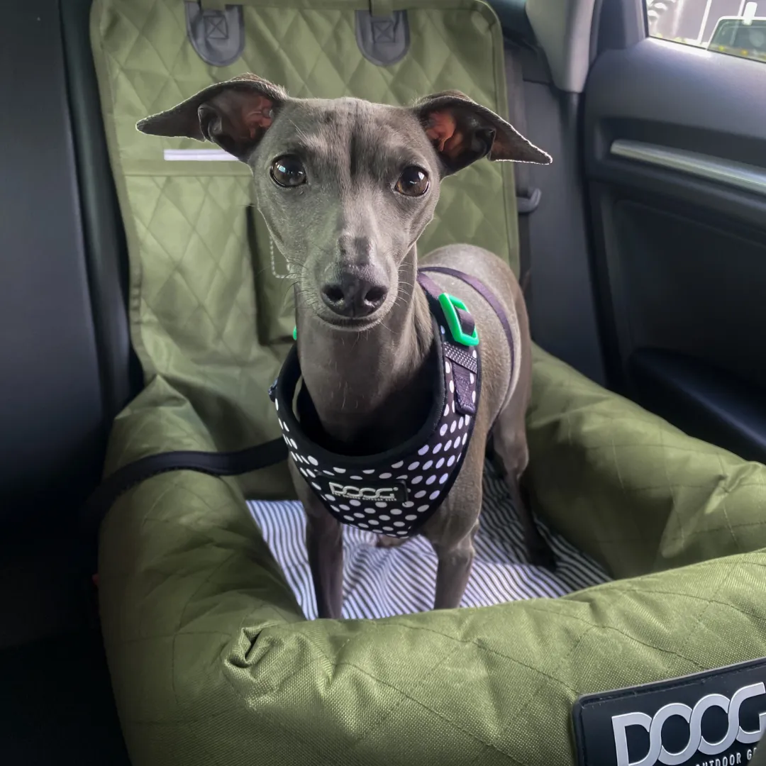 Car Seat -Olive Green  (Small to Medium Breeds)