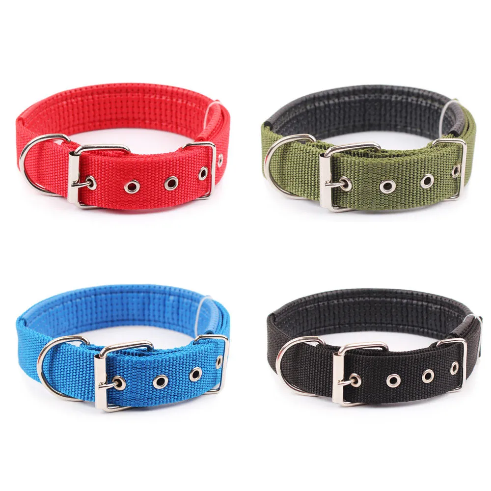 Collar w/ Metal Buckle