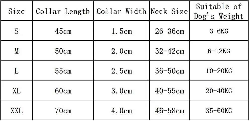 Collar w/ Metal Buckle