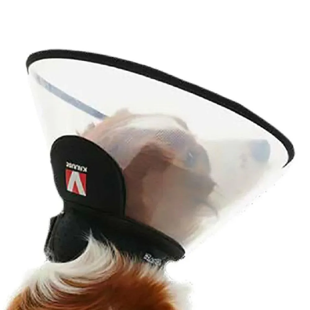 Complete Dog Collar