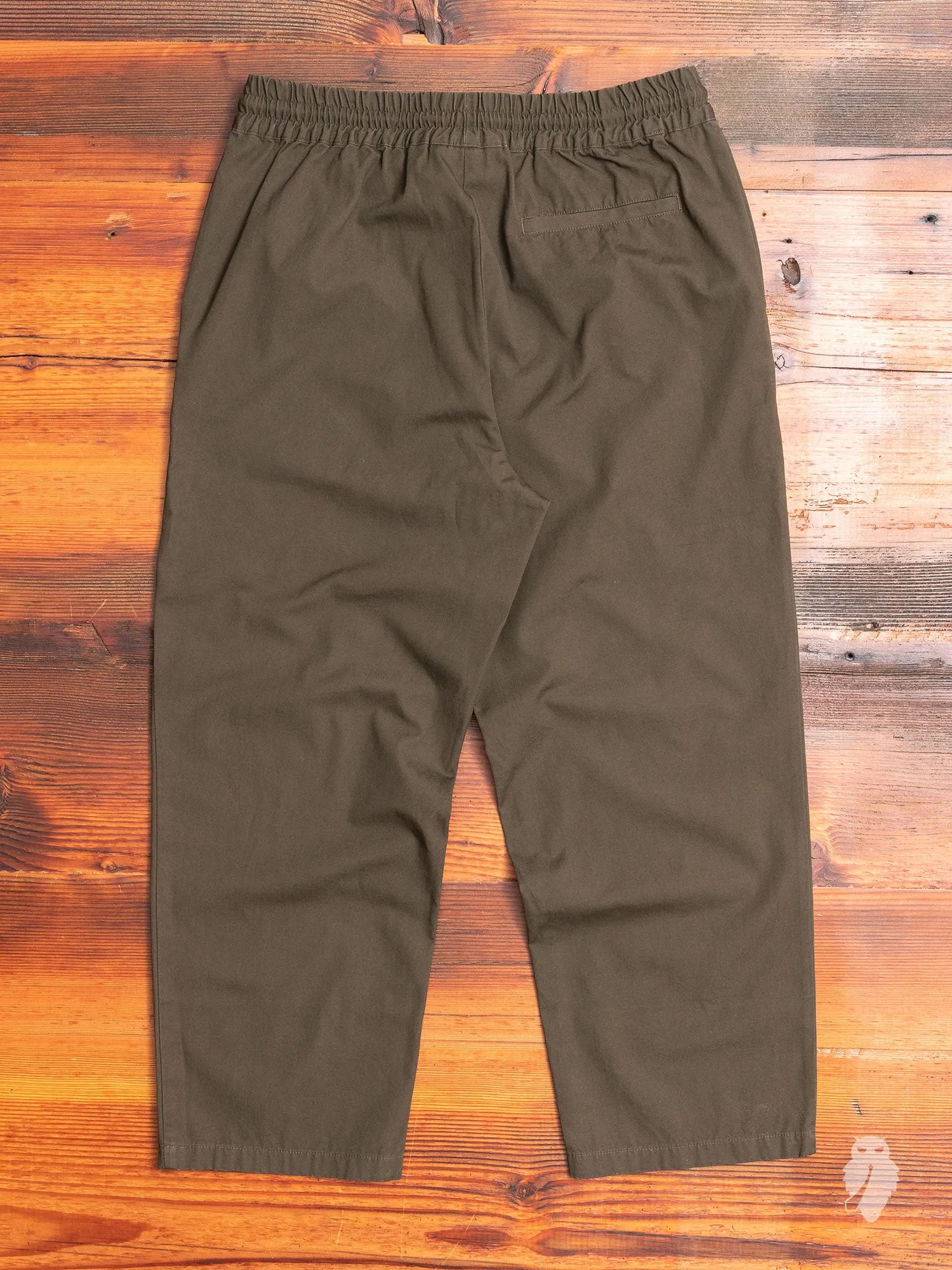 Cropped Pants in Olive Canvas