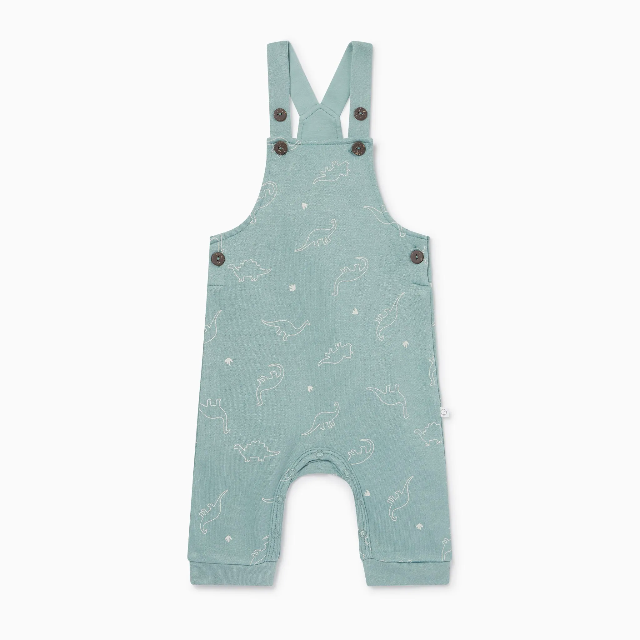 Dino Dungarees & Plain Bodysuit Outfit