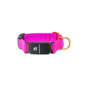 Fi Collar Band - Fuchsia