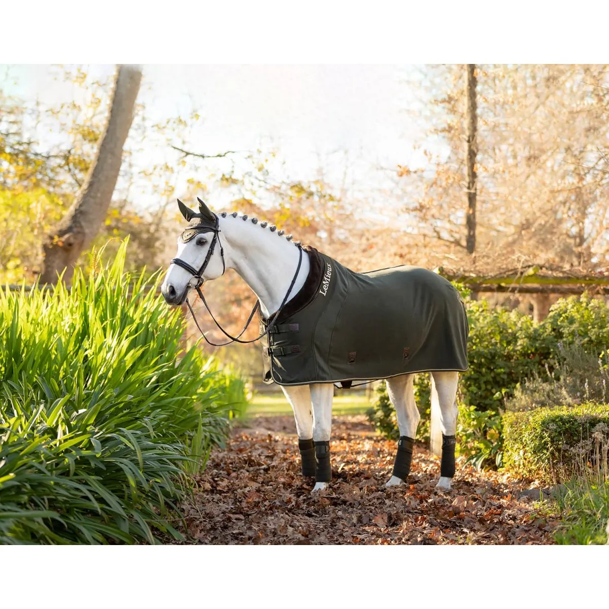 LeMieux Fleece Rug 