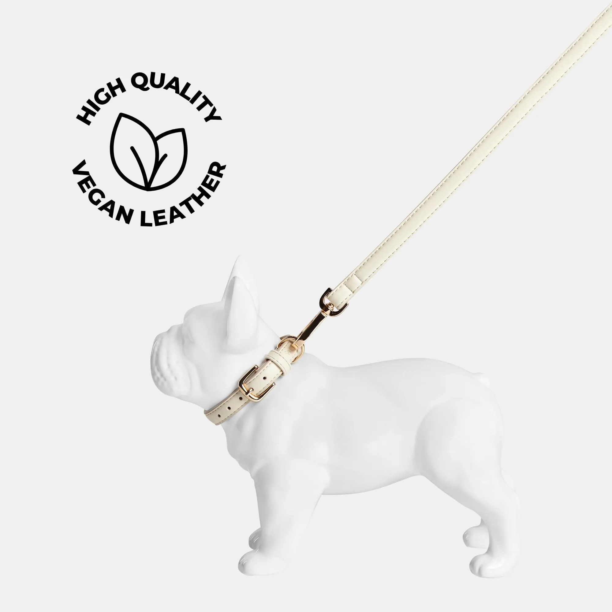 Light Ivory Dog Collar