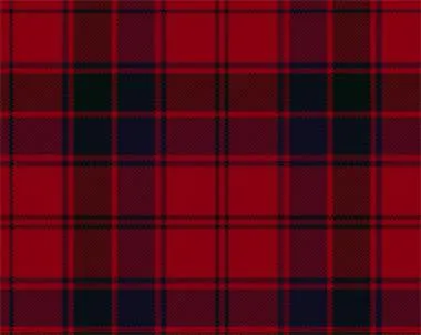 Robertson Modern Light Weight Tartan Scarf