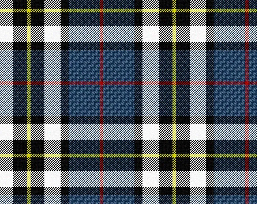 Thomson Blue Modern Tartan Scarf