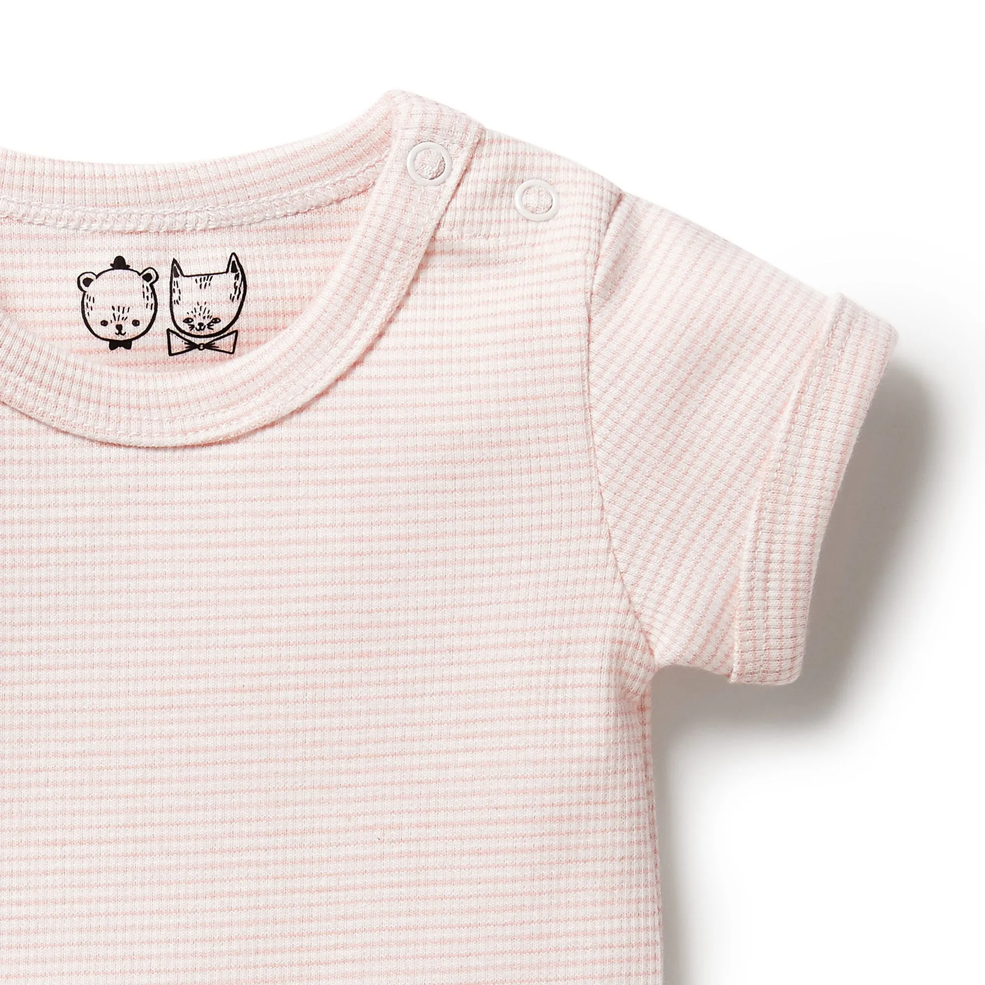 Wilson & Frenchy Organic Stripe Rib Bodysuit - Cantaloupe