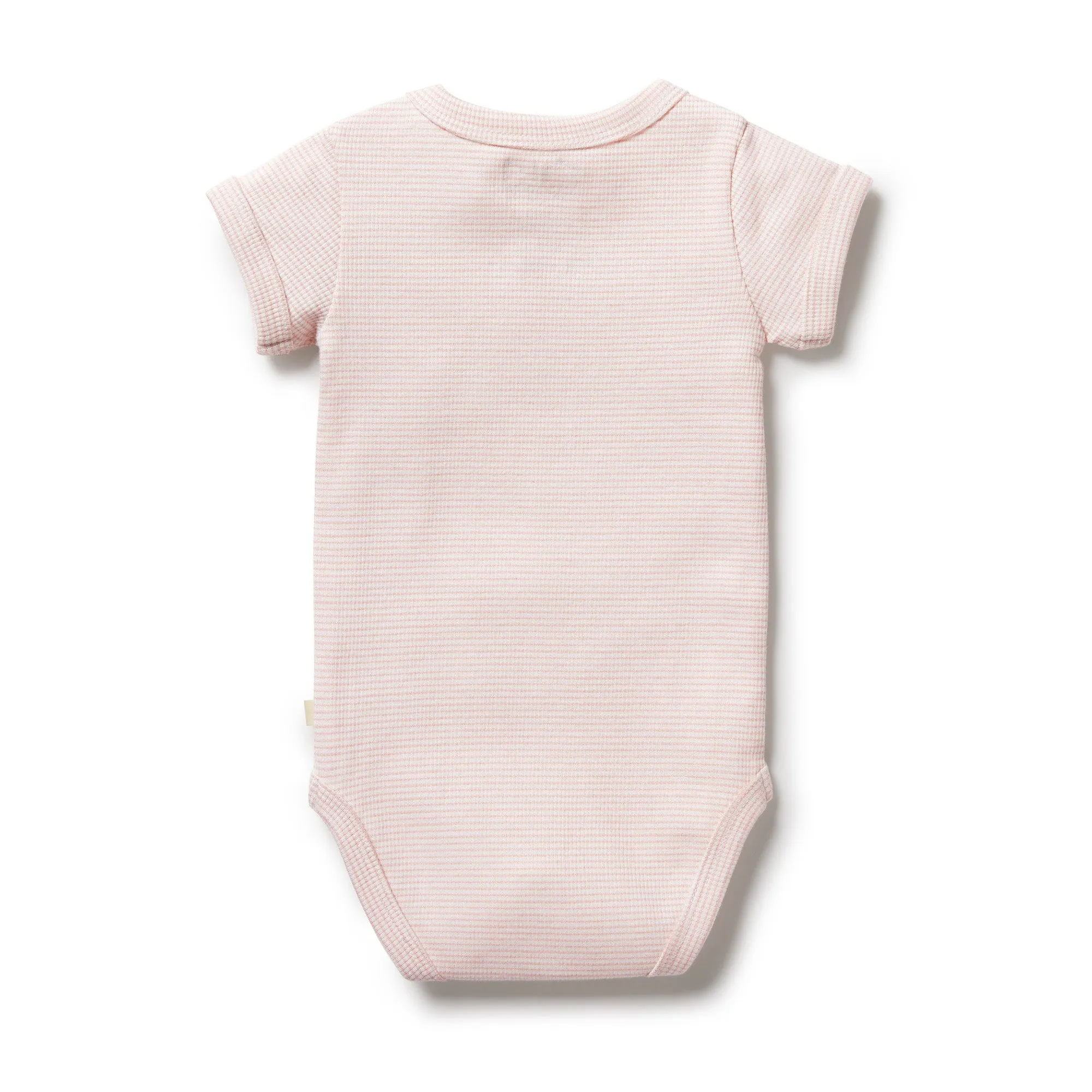 Wilson & Frenchy Organic Stripe Rib Bodysuit - Cantaloupe