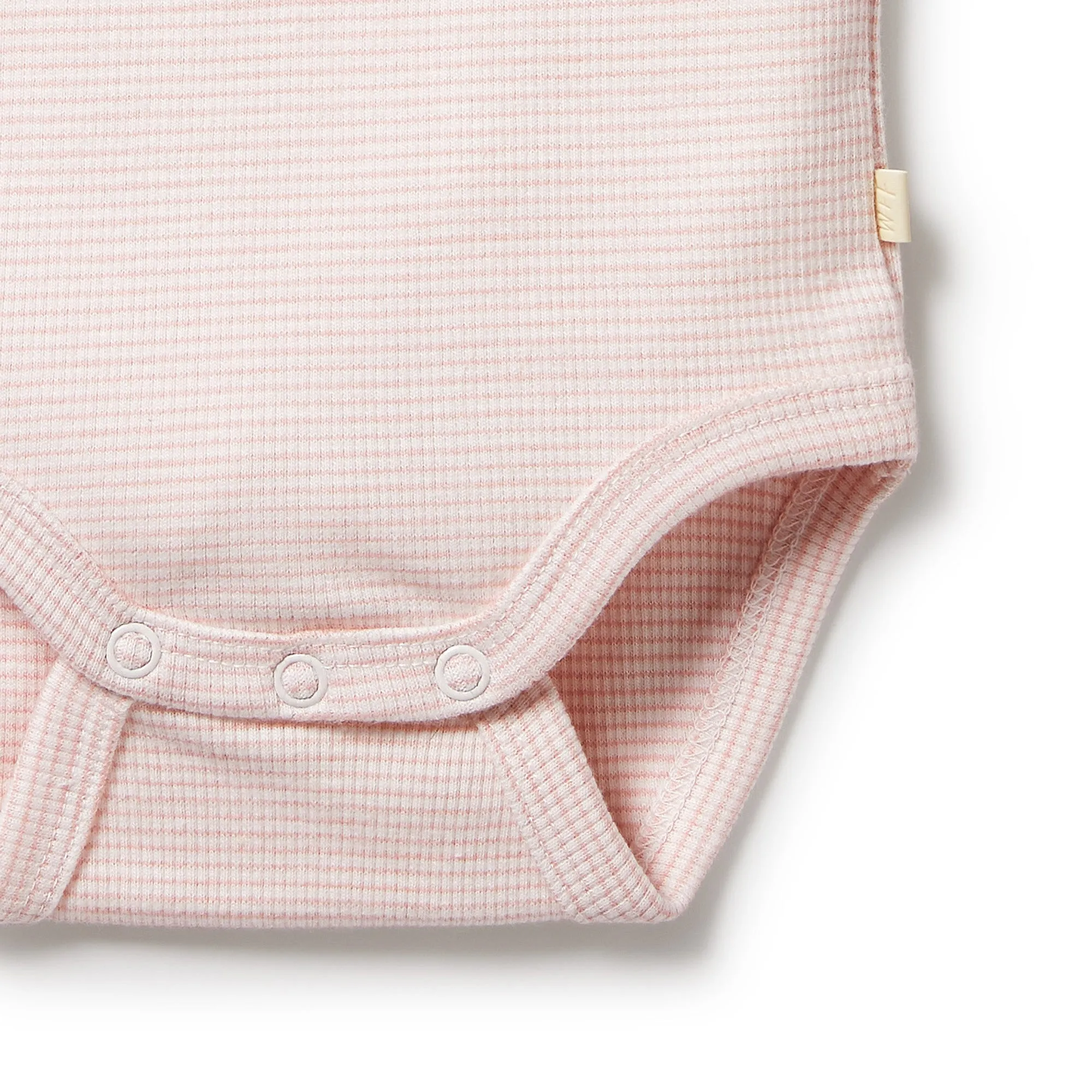 Wilson & Frenchy Organic Stripe Rib Bodysuit - Cantaloupe